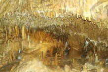 Javoříčské jeskyně - obr.8